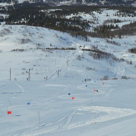 Blasjoens Stugby Stora Blasjon Luaran gambar