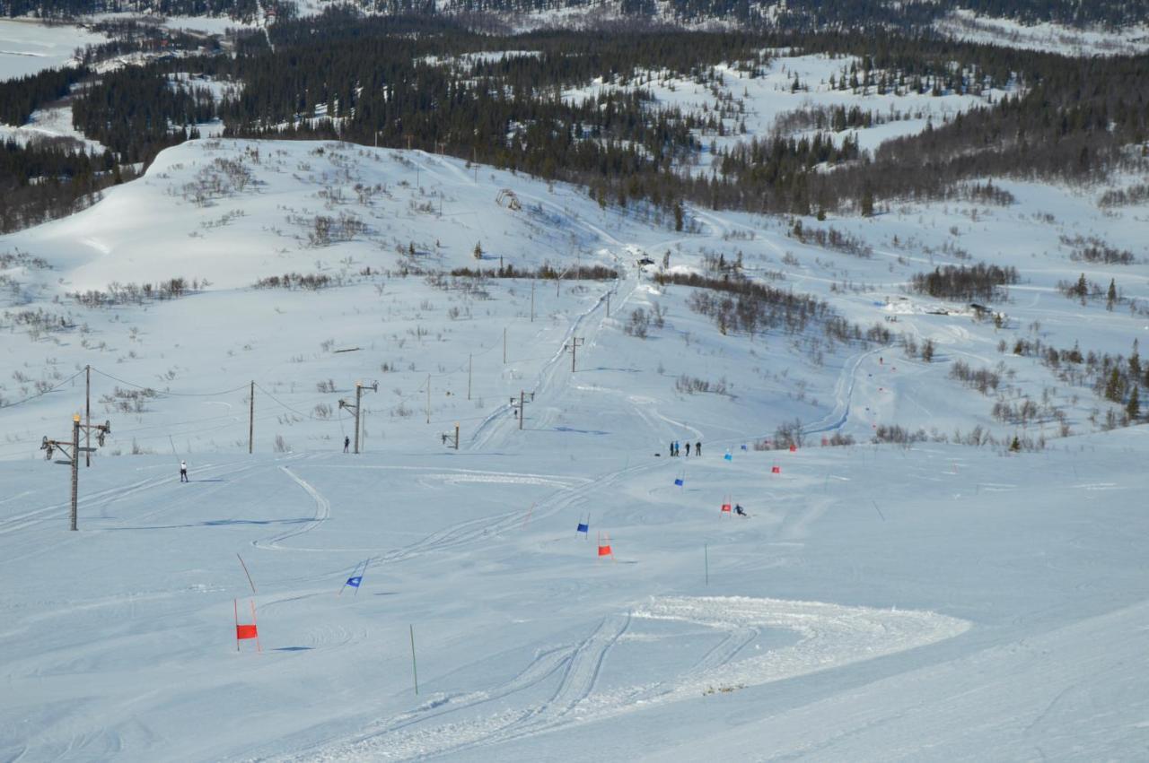Blasjoens Stugby Stora Blasjon Luaran gambar